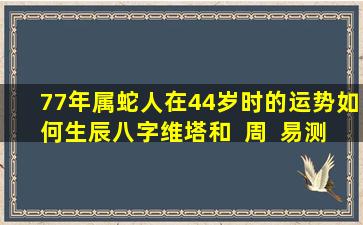 77年属蛇人在44岁时的运势如何生辰八字维塔和  周  易测算哪个网站更准